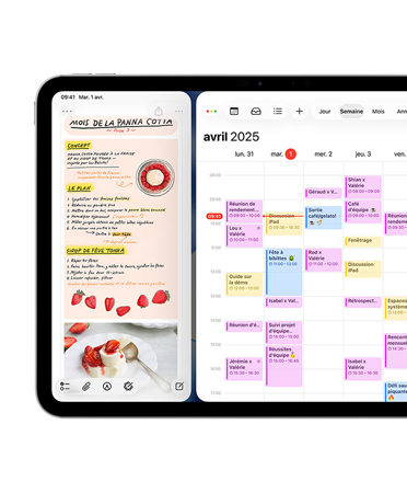 iPad, orientation paysage, le côté gauche de l’appareil affiche l’app Journal
